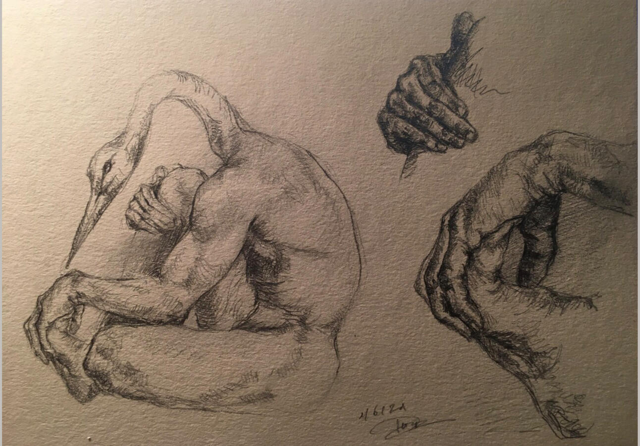 sans titre