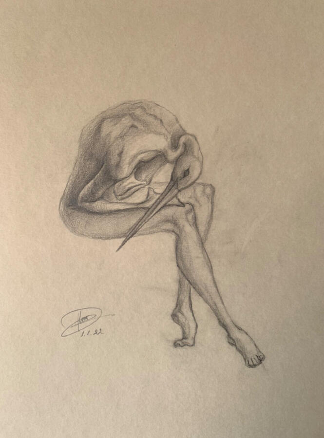 sans titre
